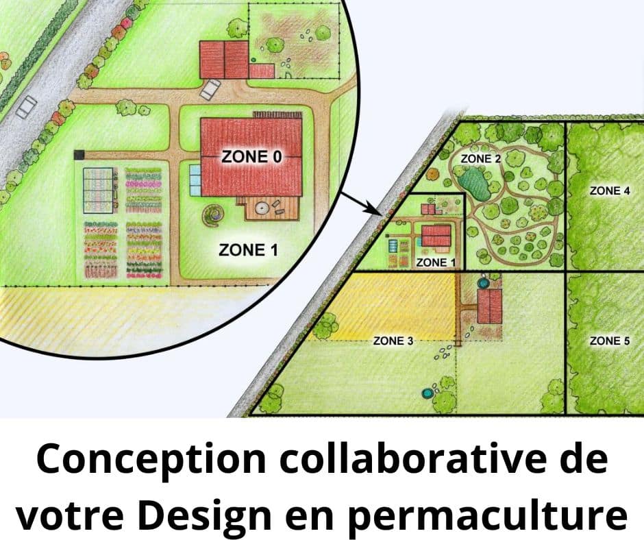 conception-collaborative-design-permaculture