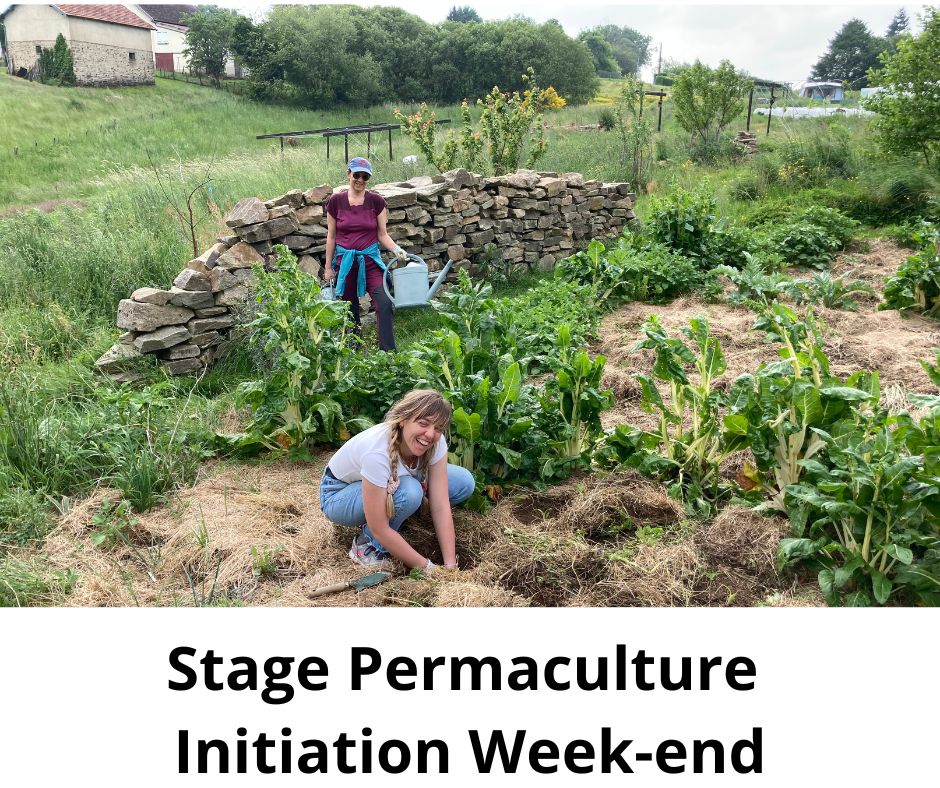 stage-permaculture-initiation-week-end
