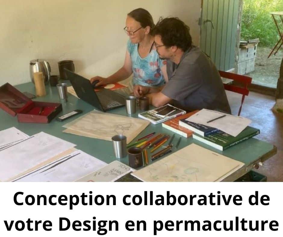 conception-collaborative-de-votre-design-en-permaculture