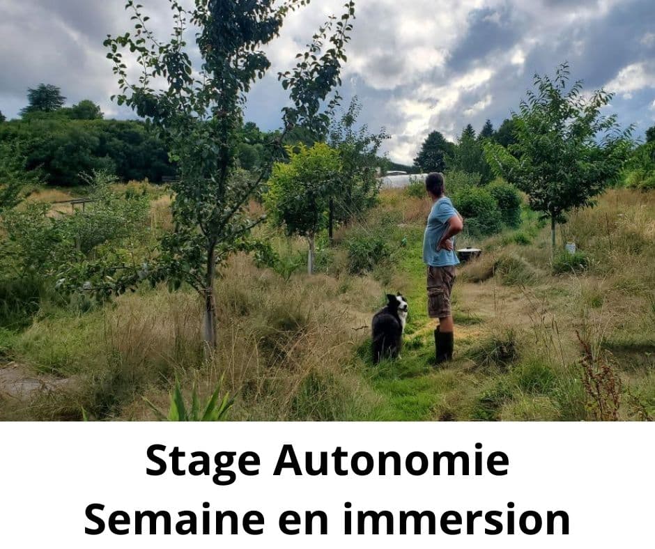 stage semaine en immersion