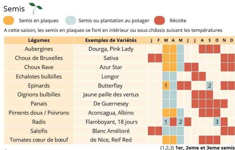 Permaculture Semis du mois de Mars