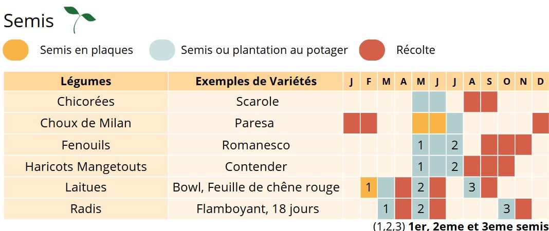 Permaculture Semis du mois de Mai Permaculture Semis du mois de Mai