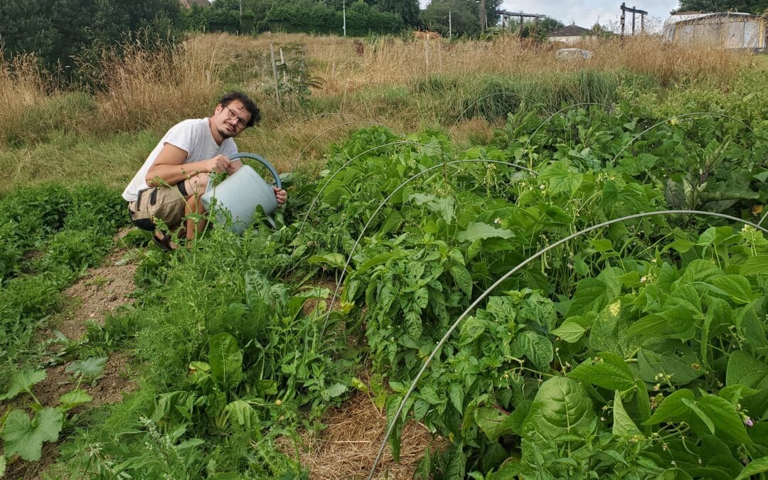 Debuter son autosuffisance alimentaire en aout