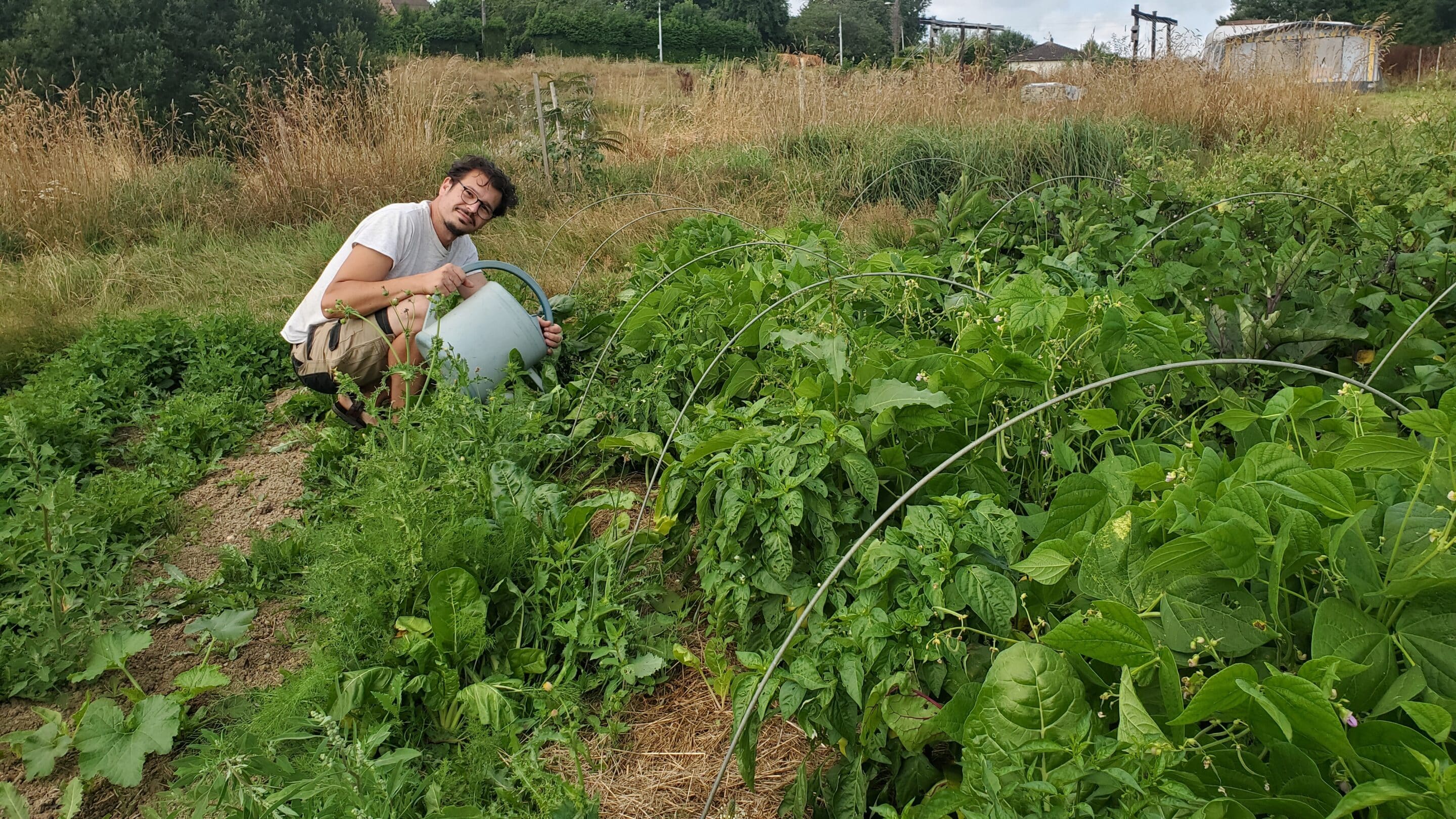Comment devenir autosuffisant pour mon alimentation