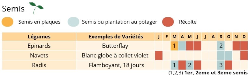 Permaculture Semis du mois de Septembre