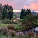 Débuter son autosuffisance alimentaire en décembre