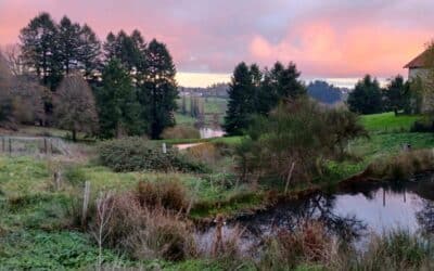 Débuter son autosuffisance alimentaire au mois de décembre